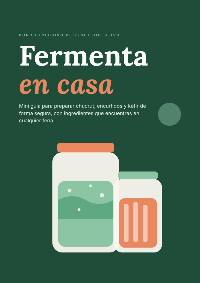 Portada de la guía Fermenta en Casa